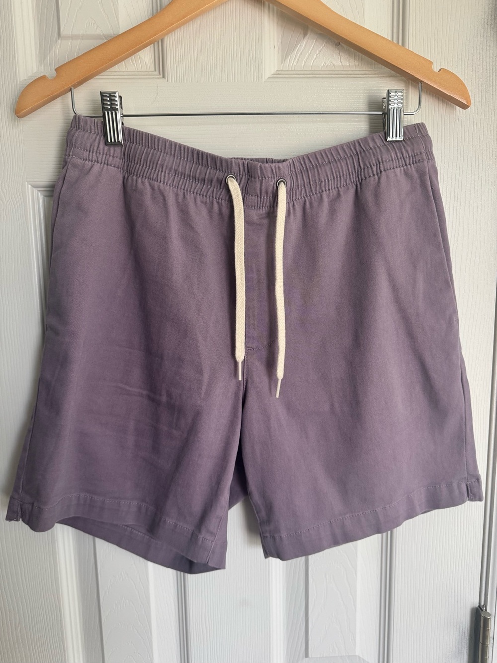 PacSun Volley Shorts